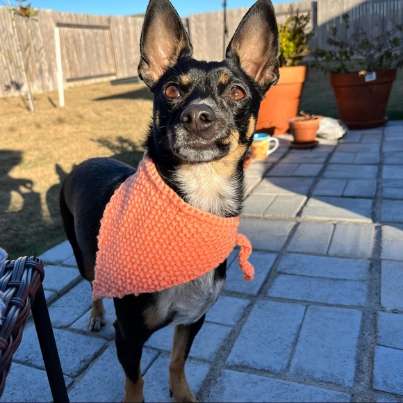 Dog Bandana Hand Knit in USA Western Dog Outfit Tie Scarf - Picture 1 of 6